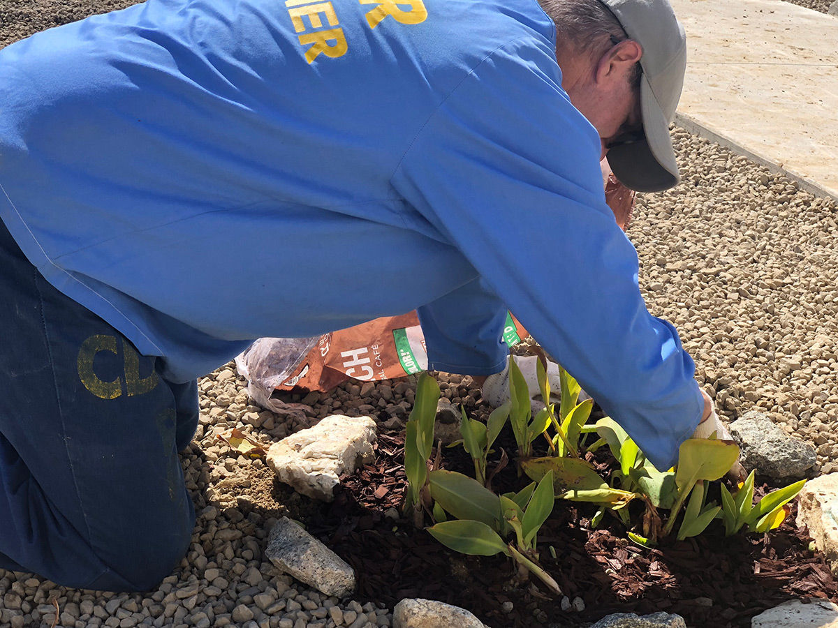 Avenal State Prison garden